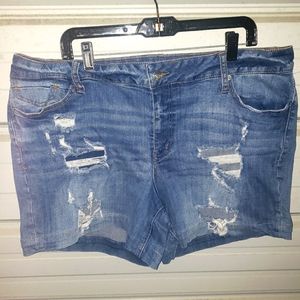 Plus Size 22 Maurices Jean Shorts denim womens destructed